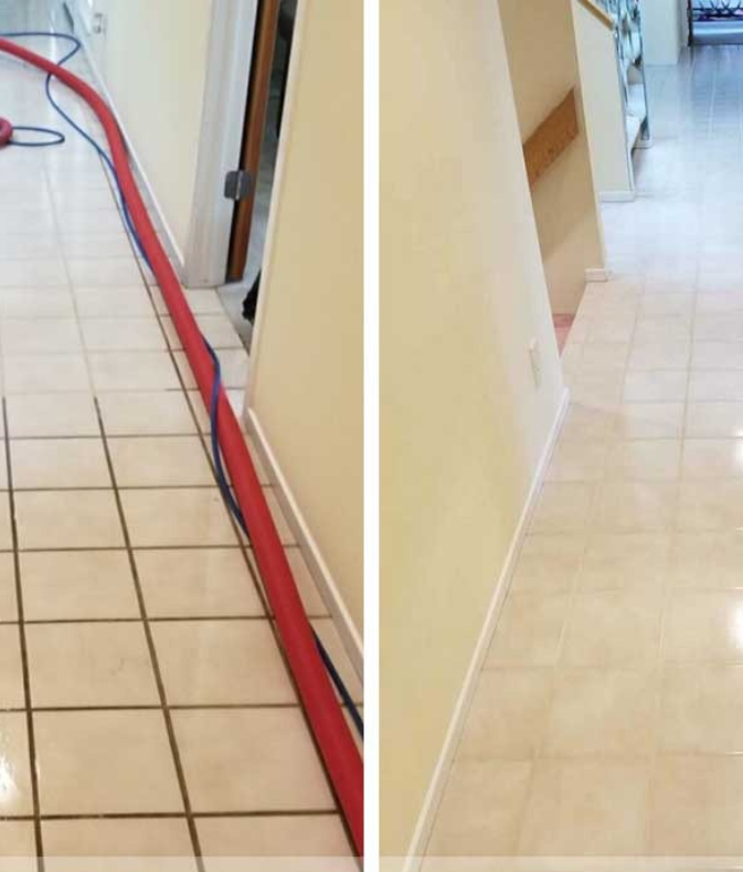 Royal Touch Professional Cleaning